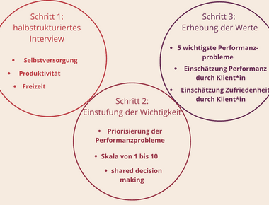 Anwendung des CMOP-E in der ergotherapeutischen Praxis