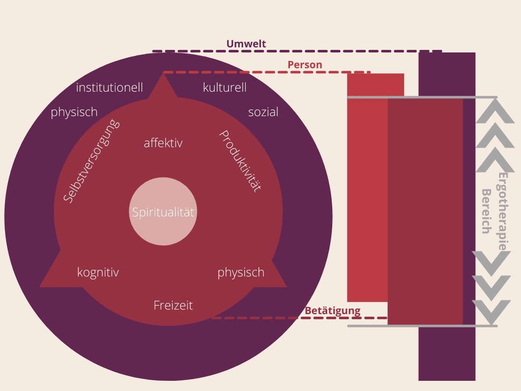 Anwendung des CMOP-E in der ergotherapeutischen Praxis